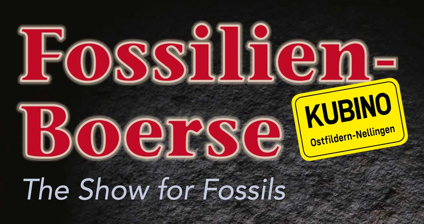 Fossilienboerse